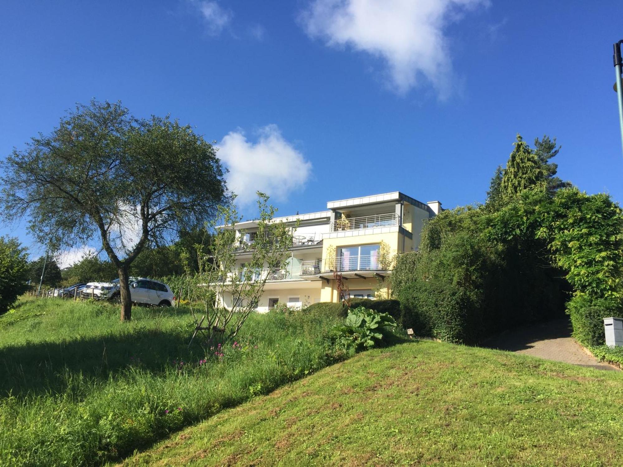 Ferienhaus Panorama Mosel Reil Exteriér fotografie
